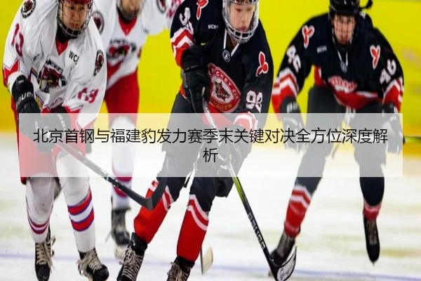 北京首钢与福建豹发力赛季末关键对决全方位深度解析（KAIYUN SPORTS）